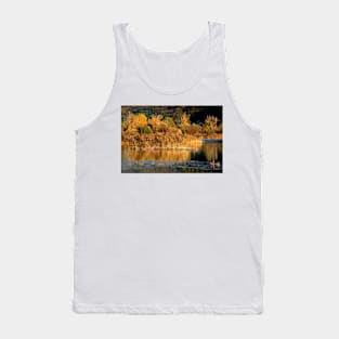 Light and reflections in the pound Tank Top